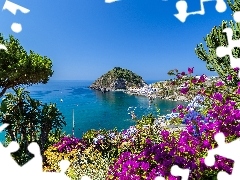 Roślinność, Morze Tyrreńskie, Wybrzeże, Włochy, Kwiaty