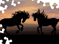 Konie, Zachód słońca, Dwa