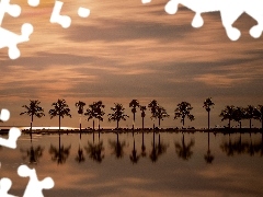 Morze, Zachód Słońca, Floryda, Palmy, Miami