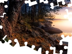 Wschód słońca, Jezioro Näsijärvi, Drzewa, Jesień, Finlandia, Prowincja Finlandia Zachodnia, Kamienie, Region Pirkanmaa