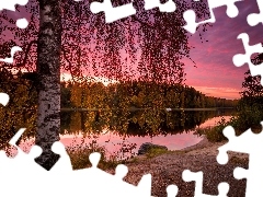 Drzewa, Jezioro Näsijärvi, Brzoza, Jesień, Finlandia, Prowincja Finlandia Zachodnia, Chmury, Region Pirkanmaa