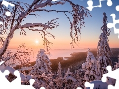 Park Narodowy Koli, Jezioro Pielinen, Mgła, Zima, Promienie słońca, Region Karelia Północna, Finlandia, Drzewa