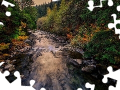Kamienie, Jesień, Rzeka Taylor River, Stany Zjednoczone, La