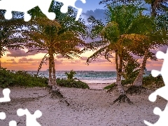 Wschód Słońca, Prowincja Quintana Roo, Palmy, Miejscowość Tulum, Meksyk, Morze Karaibskie, Chmury