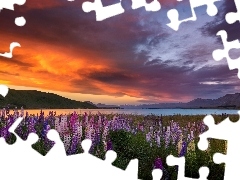 Jezioro Tekapo, Nowa Zelandia, Zachód słońca, Góry, Łą