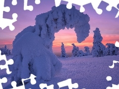 Wschód słońca, Zaśnieżone, Gmina Posio, Drzewa, Zima, Park Narodowy Riisitunturi, Finlandia