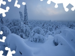 Drzewa, Zima, Laponia, Finlandia, Rezerwat Valtavaara, Ośnieżone