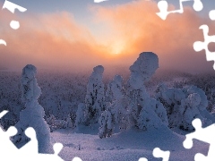Drzewa, Mgła, Finlandia, Wschód słońca, Laponia, Zaśnieżone, Zima, Rezerwat przyrody Valtavaara
