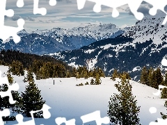 Zima, Drzewa, Alpy Glarneńskie, Góry, Szwajcaria