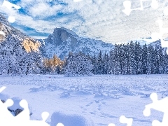 Góry, Park Narodowy Yosemite, Kalifornia, Drzewa, Zima, Chmury, Stany Zjednoczone