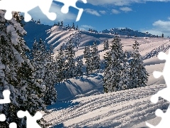 Zima, Góry, Drzewa, Świerki, Kanton Schwyz, Szwajcaria, Ślady, Hoch-Ybrig, Wzgórza