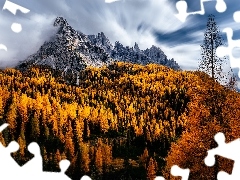 Mgła, Jesień, Dolomity, Włochy, Drzewa, Góry