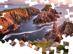 Wschód słońca, Morze, Hrabstwo Donegal, Irlandia, Roślin
