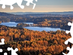 Drzewa, Jezioro, Szwecja, Lake Gunnern, Gmina Arvika, Lasy, Jesień, Gunnarskog