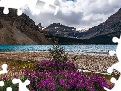 Park Narodowy Banff, Jezioro Bow Lake, Chmury, Góry, Kwiaty