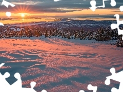 Promienie słońca, Zima, Zatoka Cooka, Ośnieżone, Alaska, Stany Zjednoczone, Świerki, Anchorage, Drzewa