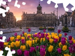 Tulipany, Zachód słońca, Amsterdam, Pałac Królewski, Holandia