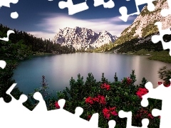 Pasmo Mieming, Góry, Tyrol, Alpy, Jezioro Sebensee, Kwiaty,
