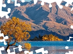 Drzewo, Jezioro Wanaka, Jesień, Nowa Zelandia, Góry, Pochylone