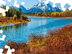 Trawy, Rzeka, Góry, Stan Wyoming, Teton Range, Park Narodowy Grand Teton, Snake River, Stany Zjednoczone, Jesień, Drzewa
