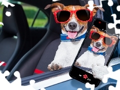 Okulary, Pies, Język, Śmieszne, Smartfon, Jack Russell terrier