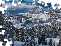 Drzewa, Góry, Wzgórza, Świerki, Jezioro, Szwajcaria, Kanton Schwyz, Zima, Chmury, Hoch-Ybrig, Dolina