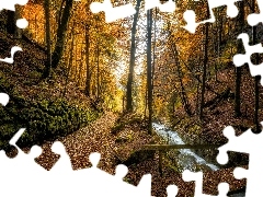Potok, Mostek, Las, Drzewa, Jesień