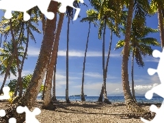 Wyspa Tahaa, Polinezja Francuska, Palmy kokosowe, Morze, Drz
