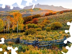 Stan Kolorado, Stany Zjednoczone, Telluride, Jesień, Drzewa, Ogrodzenie, San Juan Mountains, Kolorowe, Góry