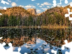 Nymph Lake, Drzewa, Stany Zjednoczone, Park Narodowy Gór Skalistych, Kolorado, Jezioro, Góry, Odbicie