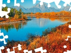 Trawa, Rzeka, Góry, Stan Wyoming, Teton Range, Park Narodowy Grand Teton, Snake River, Stany Zjednoczone, Jesień, Drzewa