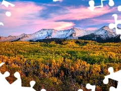 Przełęcz, Kebler Pass, Lasy, Jesień, Drzewa, Kolorado, St
