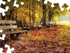 Jesień, Mgła, Drzewa, Park, Ławki