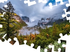 Góry, Kalifornia, Drzewa, Stany Zjednoczone, Park Narodowy Yosemite, Mgła, Krzewy
