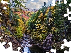 Skały, Las, Stany Zjednoczone, Drzewa, Stan New Hampshire, Pemigewasset River, Rzeka, Jesień