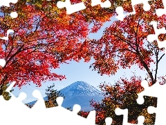 Mount Fuji, Jesień, Liście, Drzewa, Czerwone, Góra Fudżi