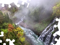 Wodospad, Las, Mgła, Hokkaido, Rzeka, Jesień, Drzewa, Japo