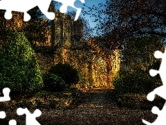 Katedra, Mury, York Minster, Brama, Anglia, HDR, York, North Yorkshire, Drzewa