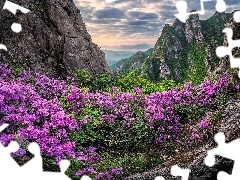 Kwiaty, Jujaksan, Chmury, Skały, Góry, Azalia, Korea Połu