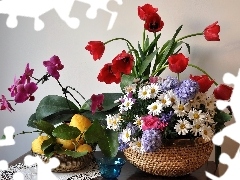 Bukiety, Kwiatów, Kolorowe