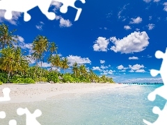 Palmy, Domek, Morze, Plaża, Malediwy