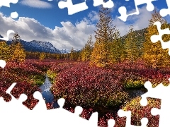 Jesień, Drzewa, Rosja, Krzewy, Kołyma, Rzeka, Góry, Chmury