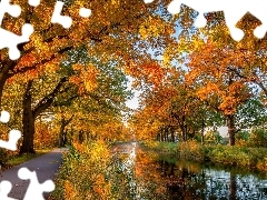 Droga, Drzewa, Jesień, Rzeka