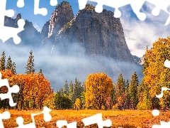 Park Narodowy Yosemite, Skały, Góry, Jesień, Drzewa, Kali