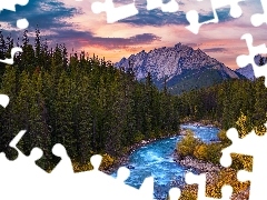Evelyn Creek, Alberta, Narodowy Jasper, Drzewa, GĂłry, Kanada, Park, Las, Rzeka, Colin Range