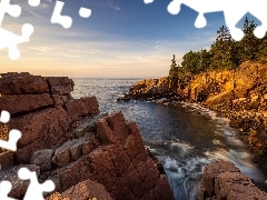 Sosny, SkaĹy, Maine, Drzewa, Morze, Park Narodowy Acadia, Stany Zjednoczone