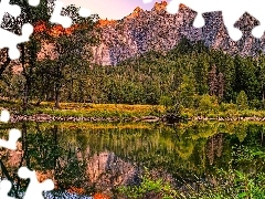 SkaĹy, Kalifornia, Drzewa, Park Narodowy Yosemite, Stany 