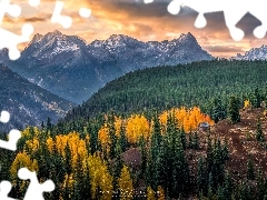 GĂłry, San Juan Mountains, Chata, JesieĹ, Lasy, Kolorado, Stany Zjednoczone, Drzewa