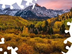Mount Sneffels, Kolorado, Drzewa, GĂłra, Stany Zjednoczone, JesieĹ, RoĹlinnoĹÄ