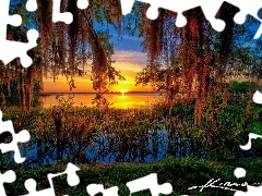 Jezioro, Floryda, Zachód słońca, Mount Dora, Stany Zjedno